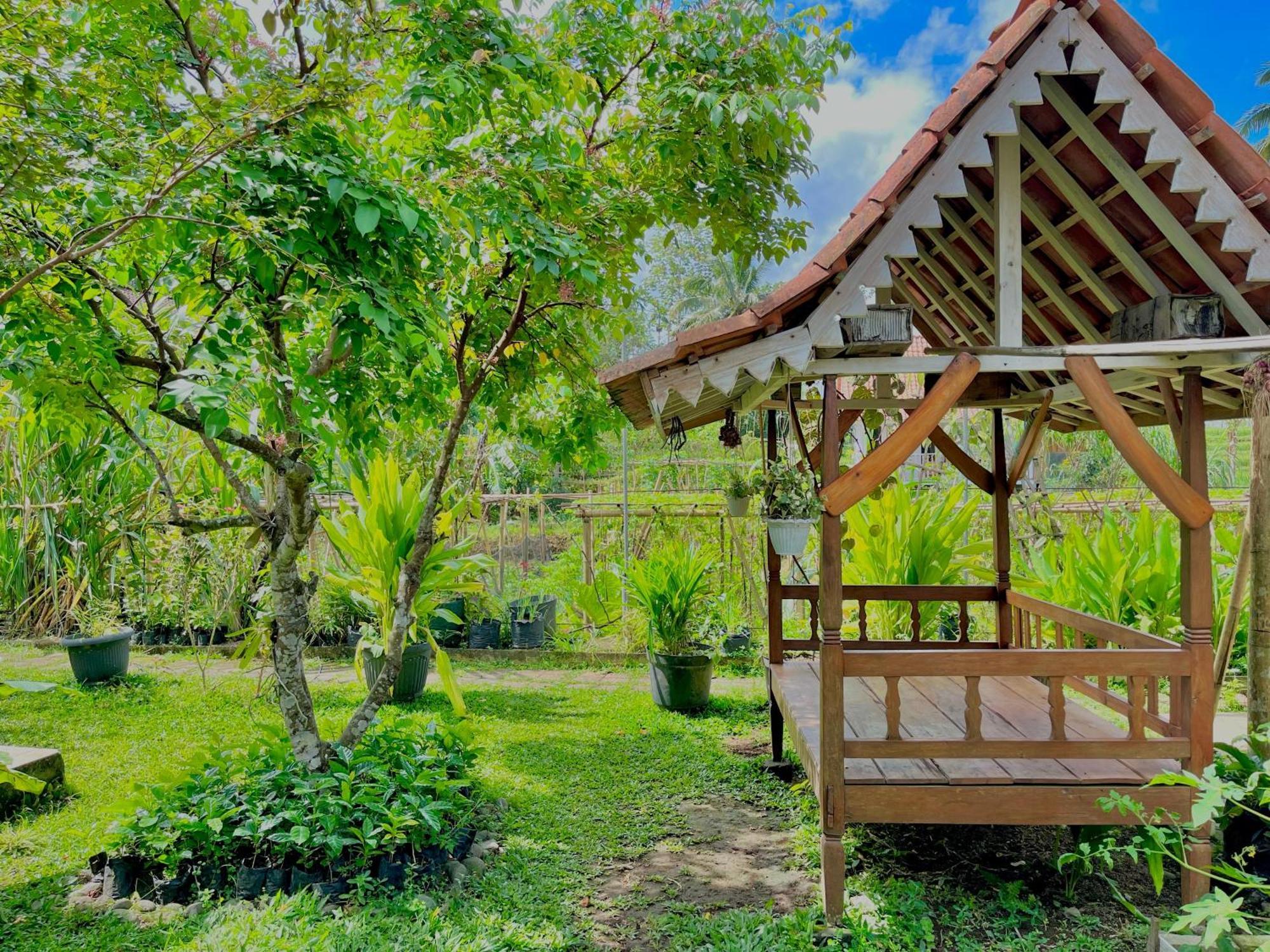 Pondok Isoke Bunggalow Banyuwangi  Ngoại thất bức ảnh
